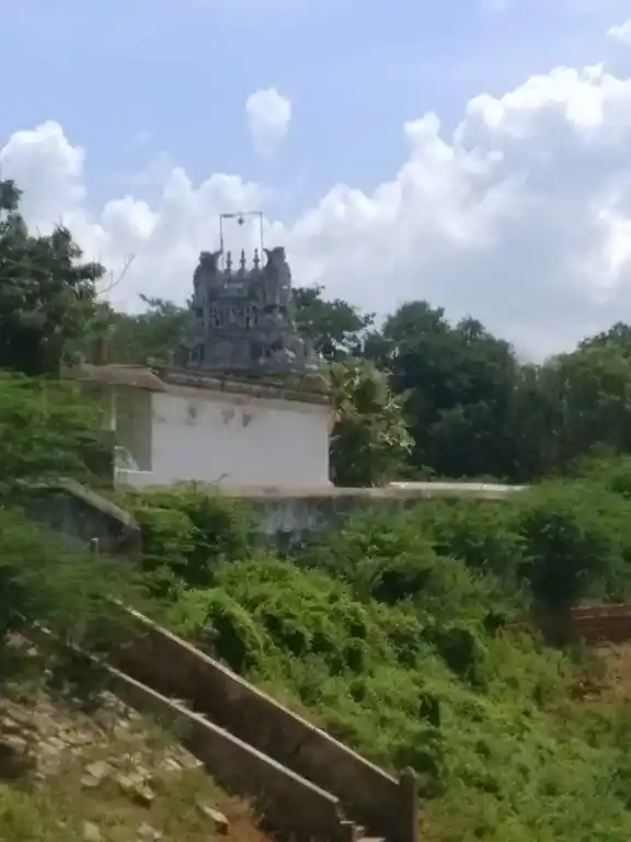 Arulmigu Nachraman Temple, Budalur - 613602 அருள்மிகு நாச்சியார் அம்மன் கோவில், Budalur - 613602, Thanjavur - Ancient Temple Architecture and History Image 2