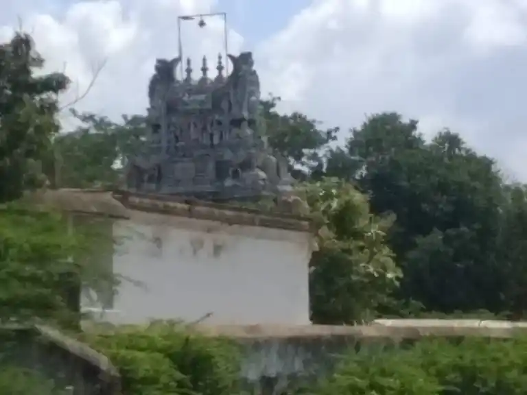 Arulmigu Nachraman Temple, Budalur - 613602 அருள்மிகு நாச்சியார் அம்மன் கோவில், Budalur - 613602, Thanjavur - Ancient Temple Architecture and History Image 3