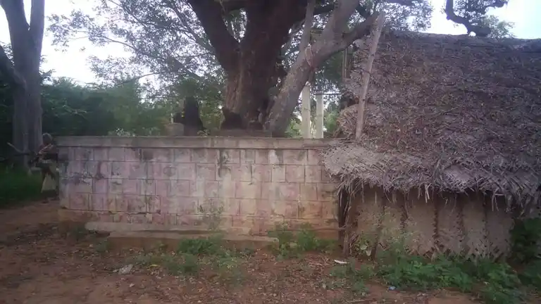 Arulmigu Nadaikondavinayagar Temple, Idaiyapatti - 621305 Temple