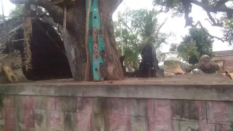 Arulmigu Nadaikondavinayagar Temple, Idaiyapatti - 621305 Arulmigu Nadaikondavinayagar Temple, Idaiyapatti - 621305, Thiruchirappalli - Ancient Temple Architecture and History Image 3