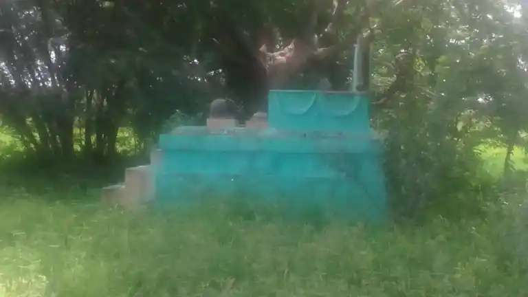 Arulmigu Nadanamadiya Ayyanar Temple, Mankulam - 630561