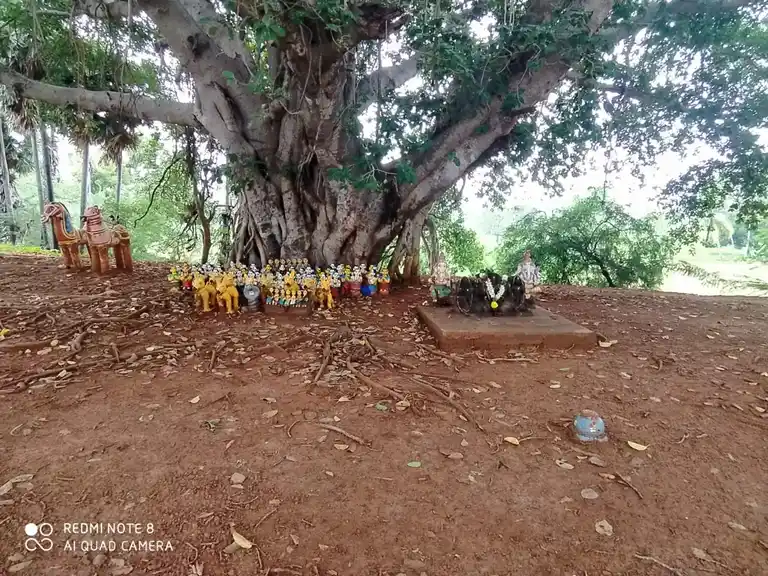 Arulmigu Nadanamadiya Ayyanar Temple, Uruli - 630565 அருள்மிகு. நடனமாடிய அய்யனார் திருக்கோயில், Uruli - 630565, Sivagangai - Ancient Temple Architecture and History Image 2
