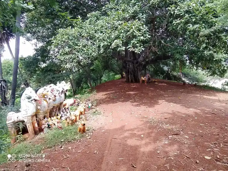 Arulmigu Nadanamadiya Ayyanar Temple, Uruli - 630565 அருள்மிகு. நடனமாடிய அய்யனார் திருக்கோயில், Uruli - 630565, Sivagangai - Ancient Temple Architecture and History Image 5