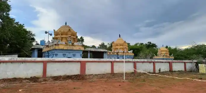 Arulmigu Nadanapurisewarar Temple, Nadappur - 610101 அருள்மிகு நடனபுரீஷ்வரர் திருக்கோயில், Nadappur - 610101, Thiruvarur - Ancient Temple Architecture and History Image 2