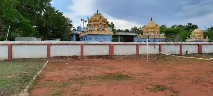 Arulmigu Nadanapurisewarar Temple, Nadappur - 610101 அருள்மிகு நடனபுரீஷ்வரர் திருக்கோயில், Nadappur - 610101, Thiruvarur - Ancient Temple Architecture and History Image 3