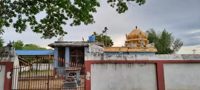 Arulmigu Nadanapurisewarar Temple, Nadappur - 610101 அருள்மிகு நடனபுரீஷ்வரர் திருக்கோயில், Nadappur - 610101, Thiruvarur - Ancient Temple Architecture and History Image 4
