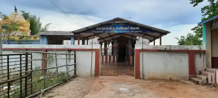 Arulmigu Nadanapurisewarar Temple, Nadappur - 610101 அருள்மிகு நடனபுரீஷ்வரர் திருக்கோயில், Nadappur - 610101, Thiruvarur - Ancient Temple Architecture and History Image 5