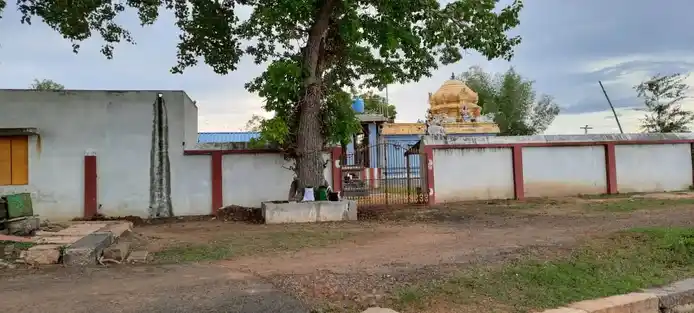 Arulmigu Nadanapurisewarar Temple, Nadappur - 610101 அருள்மிகு நடனபுரீஷ்வரர் திருக்கோயில், Nadappur - 610101, Thiruvarur - Ancient Temple Architecture and History Image 6