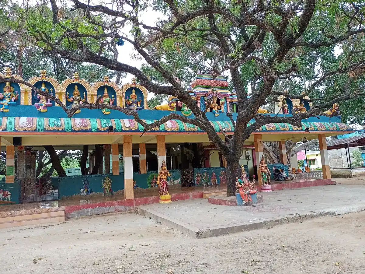 Arulmigu Nadavazhiamman Vagayara Temple, Vellore - 632002 அருள்மிகு நடவாழியம்மன் வகையறா திருக்கோயில், வேலூர் - 632002, Vellore - Ancient Temple Architecture and History Image 2