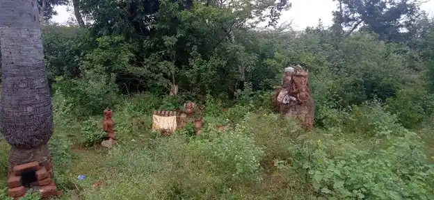 Arulmigu Nadiyamman Temple, Poiyaamani - 621316 அருள்மிகு நாடியம்மன் திருக்கோயில், Poiyaamani - 621316, Pudukkottai - Ancient Temple Architecture and History Image 4