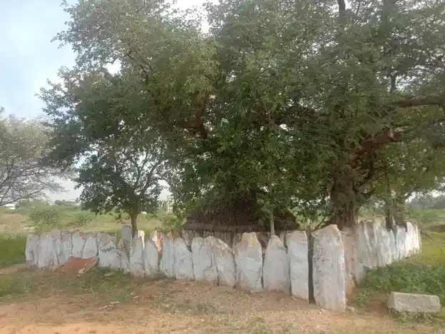 Arulmigu Nadupatti Sonai Malai Temple, Nadupatty - 624706 அருள்மிகு நடுப்பட்டி சோணை மாலைக்கோயில், ஆர்.புதுக்கோட்டை, வேடசந்தூர் வட்டம் கோயில், Nadupatty - 624706, Dindigul - Ancient Temple Architecture and History Image 4