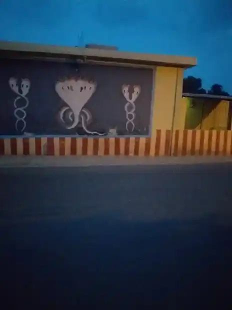 Arulmigu Nagalamman Temple, Amburpet, Chennampettai - 635754 அருள்மிகு நாகாலம்மன் திருக்கோயில், அம்பூர்பேட்டை, சென்னாம்பேட்டை - 635754, Thirupathur - Ancient Temple Architecture and History Image 2