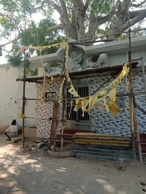 Arulmigu Nagalamman Temple, Ranipet - 632401 அருள்மிகு நாகாலம்மன் திருக்கோயில், இராணிபேட்டை - 632401, Ranipet - Ancient Temple Architecture and History Image 5