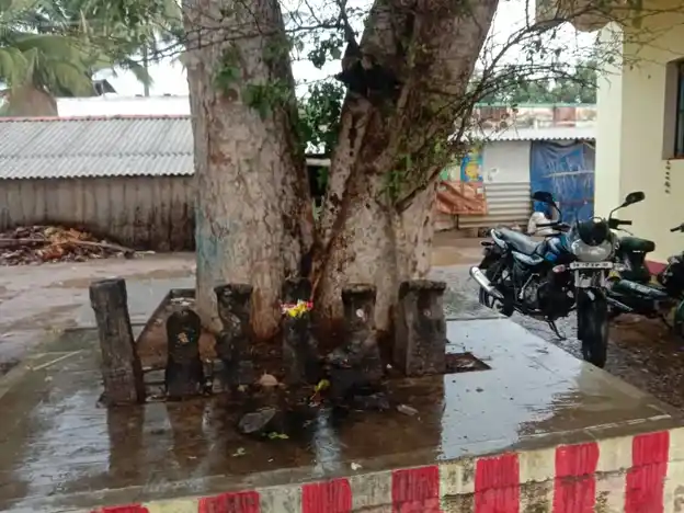 Arulmigu Nagalingaswamy Temple, A. Vellodu - 624307