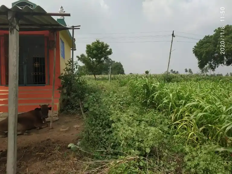 Arulmigu Nagamalai Temple, Varagupadi - 621113 அருள்மிகு நாகமலை திருக்கோயில், Varagupadi - 621113, Perambalur - Ancient Temple Architecture and History Image 3