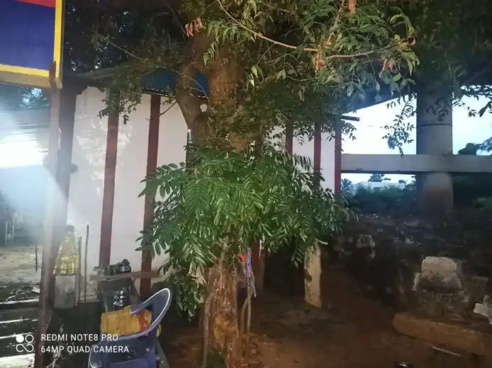 Arulmigu Nagamalal Temple, Thanjavur - 613004 அருள்மிகு நாகம்மாள் திருக்கோயில், Thanjavur - 613004, Thanjavur - Ancient Temple Architecture and History Image 3