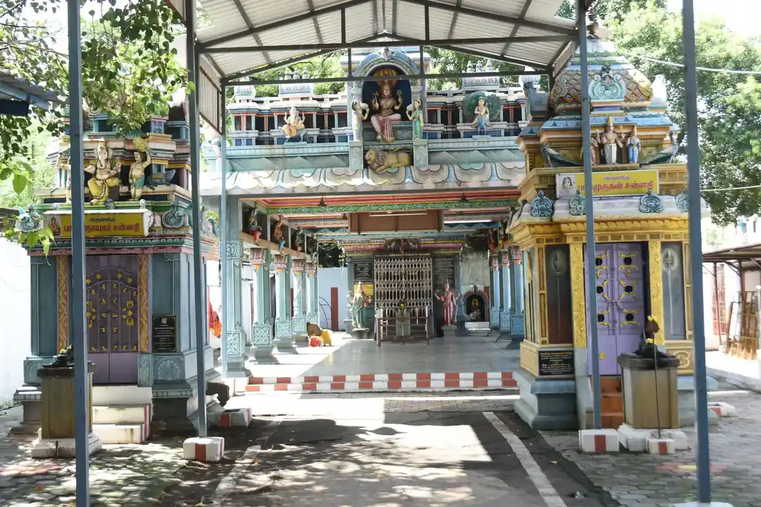 Arulmigu Nagamariamman Temple, Mylapore, Chennai - 600004 அருள்மிகு நாகமாரியம்மன் திருக்கோயில், மயிலாப்பூர், சென்னை - 600004, Chennai - Ancient Temple Architecture and History Image 2