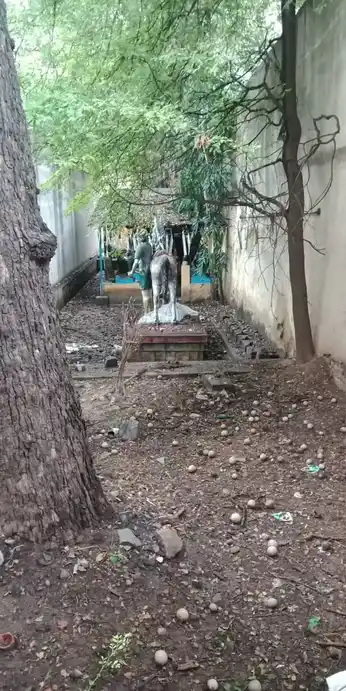 Arulmigu Nagamuneeshwaraswamy Temple, Shevapettai, Salem - 636002