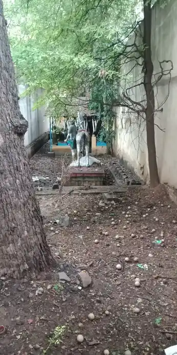 Arulmigu Nagamuneeshwaraswamy Temple, Shevapettai, Salem - 636002 அருள்மிகு நாகமுனிஸ்வரசுவாமி திருக்கோயில், Shevapettai, Salem - 636002, Salem - Ancient Temple Architecture and History Image 2