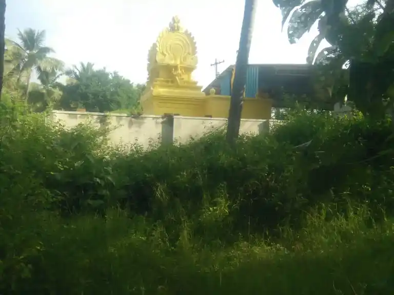 Arulmigu Nagamuthumariamman Temple, Palapalle - 635108 Temple