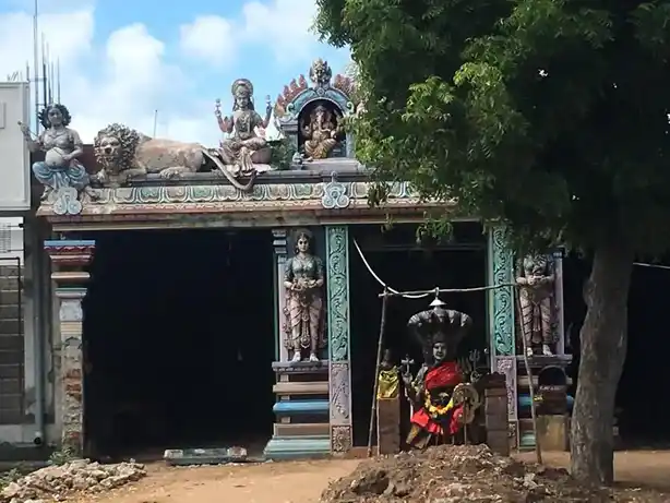 Arulmigu Nagamuthumariyamman Temple, Aanaikaransathiram - 609108 Temple