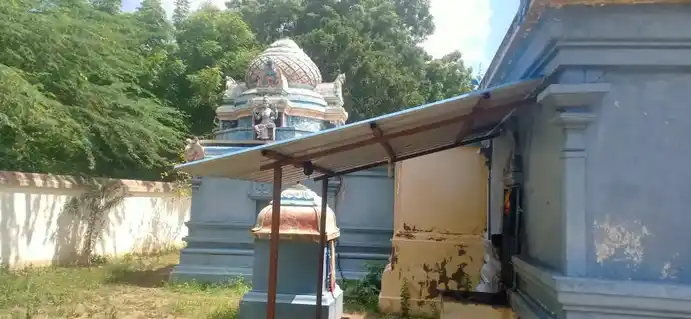 Arulmigu Naganadha Swami Temple, Sathanoor - 613104 அருள்மிகு விஸ்வநாத சுவாமி திருக்கோவில், சாத்தனூர் - 613104, Thanjavur - Ancient Temple Architecture and History Image 3
