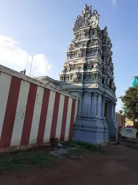 Arulmigu Naganatha Swamy And Krishnaswamy Temple, Naganathapuram, - 630001 அருள்மிகு நாகநாதசுவாமி மற்றும் கிருஷ்ணசாமி திருக்கோயில், Naganathapuram - 630001, Sivagangai - Ancient Temple Architecture and History Image 2
