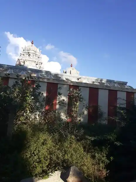 Arulmigu Naganatha Swamy And Krishnaswamy Temple, Naganathapuram, - 630001 அருள்மிகு நாகநாதசுவாமி மற்றும் கிருஷ்ணசாமி திருக்கோயில், Naganathapuram - 630001, Sivagangai - Ancient Temple Architecture and History Image 5