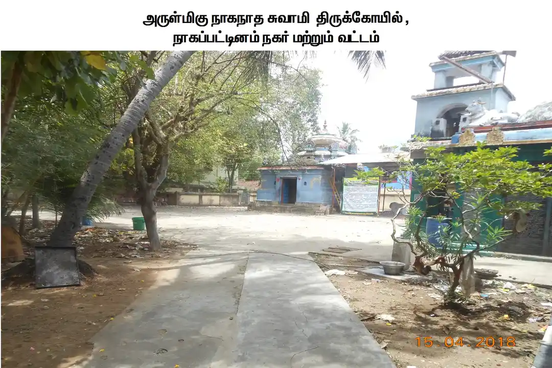 Arulmigu Naganatha Swamy Temple, Nagapattinam - 611001 அருள்மிகு நாகநாத சுவாமி திருக்கோயில், நாகப்பட்டினம் - 611001, Nagapattinam - Ancient Temple Architecture and History Image 2