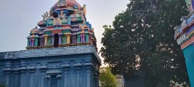Arulmigu Naganatha Swamy Temple, Neelapadi - 611105 அருள்மிகு நாகநாதசுவாமி திருக்கோயில், Neelapadi - 611105, Nagapattinam - Ancient Temple Architecture and History Image 7