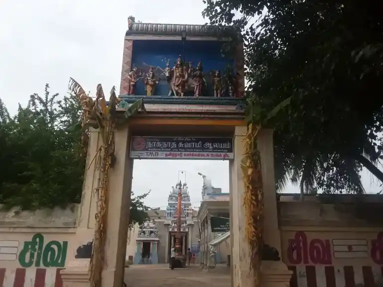 Arulmigu Naganatha Swamy Temple, Pamani - 614014