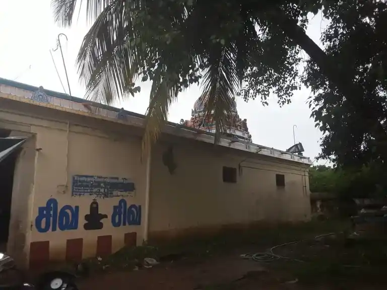 Arulmigu Naganatha Swamy Temple, Pamani - 614014 அருள்மிகு நாதநாதசுவாமி திருக்கோயில், பாமணி - 614014, Thiruvarur - Ancient Temple Architecture and History Image 3