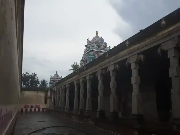 Arulmigu Naganatha Swamy Temple, Pamani - 614014 அருள்மிகு நாதநாதசுவாமி திருக்கோயில், பாமணி - 614014, Thiruvarur - Ancient Temple Architecture and History Image 4