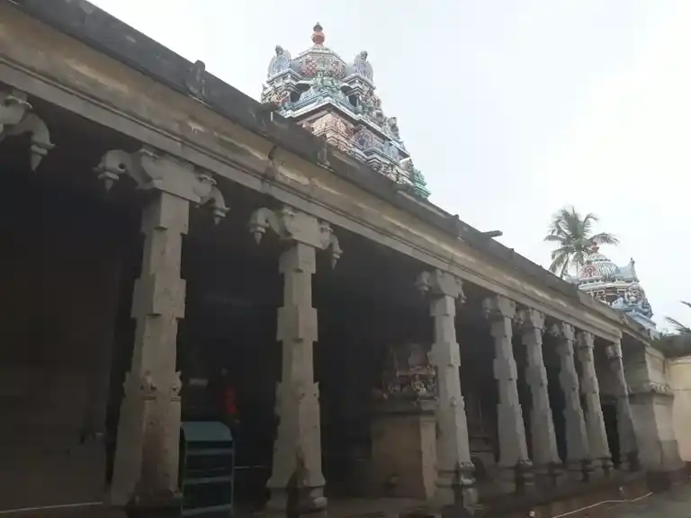 Arulmigu Naganatha Swamy Temple, Pamani - 614014 அருள்மிகு நாதநாதசுவாமி திருக்கோயில், பாமணி - 614014, Thiruvarur - Ancient Temple Architecture and History Image 6