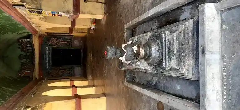 Arulmigu Naganatha Swamy Temple, Pandhanallur To Vaitheeswaran Koil Road, Manalmedu - 609202 அருள்மிகு நாகநாதசுவாமி திருக்கோயில், பந்தநல்லூர் -வைத்தீஸ்வரன் கோயில் ரோடு, Manalmedu - 609202, Mayiladuthurai - Ancient Temple Architecture and History Image 3