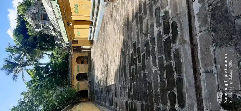 Arulmigu Naganatha Swamy Temple, Pandhanallur To Vaitheeswaran Koil Road, Manalmedu - 609202 அருள்மிகு நாகநாதசுவாமி திருக்கோயில், பந்தநல்லூர் -வைத்தீஸ்வரன் கோயில் ரோடு, Manalmedu - 609202, Mayiladuthurai - Ancient Temple Architecture and History Image 5