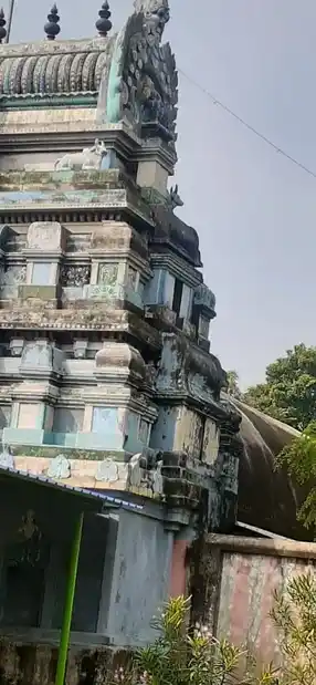 Arulmigu Naganatha Swamy Temple, Poyyakudi - 609811 Temple