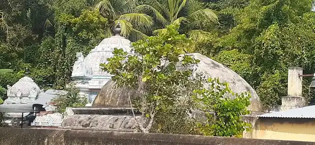 Arulmigu Naganatha Swamy Temple, Poyyakudi - 609811 அருள்மிகு நாகநாதசுவாமி திருக்கோயில், Poyyakudi - 609811, Mayiladuthurai - Ancient Temple Architecture and History Image 5