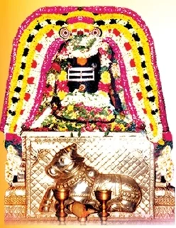 அருள்மிகு நாகநாதசுவாமி திருக்கோயில், திருநாகேஸ்வரம், திருநாகேஸ்வரம் - 612204