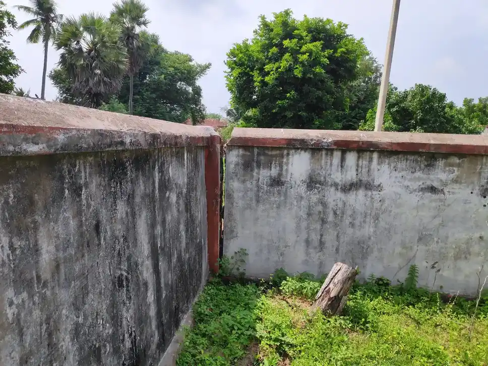 Arulmigu Naganathasamy And Varadharajaperumal Temple, Edayur - 614702 அருள்மிகு நாகநாதசுவாமி திருக்கோயில், எடையூர் - 614702, Thiruvarur - Ancient Temple Architecture and History Image 3