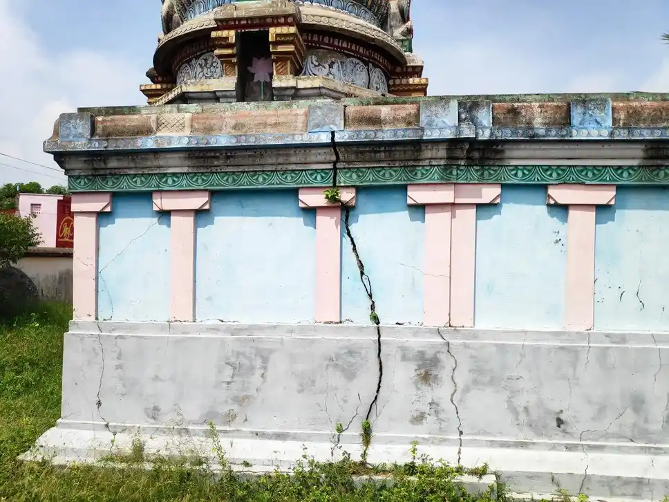 Arulmigu Naganathasamy And Varadharajaperumal Temple, Edayur - 614702 அருள்மிகு நாகநாதசுவாமி திருக்கோயில், எடையூர் - 614702, Thiruvarur - Ancient Temple Architecture and History Image 6