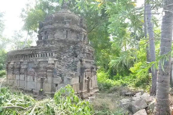 Arulmigu Naganathasamy Temple, Manambadi - 612503 அருள்மிகு நாகநாத சுவாமி திருக்கோயில், Manambadi - 612503, Thanjavur - Ancient Temple Architecture and History Image 10