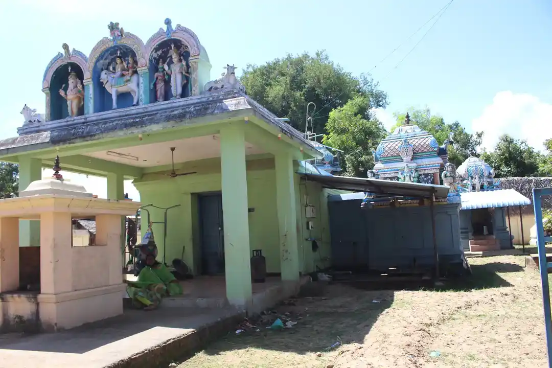 Arulmigu Naganathasamy Temple, Nagarasampettai - 612605 அருள்மிகு நாகநாதசுவாமி திருக்கோயில், Nagarasampettai - 612605, Thanjavur - Ancient Temple Architecture and History Image 2
