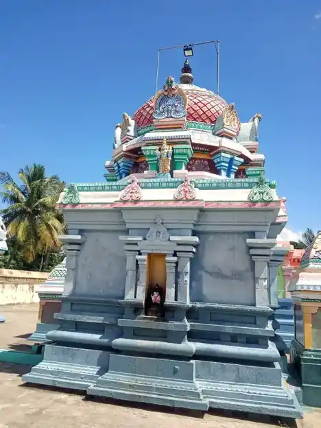 Arulmigu Naganathasamy Temple, Paravakkottai - 614015 Temple