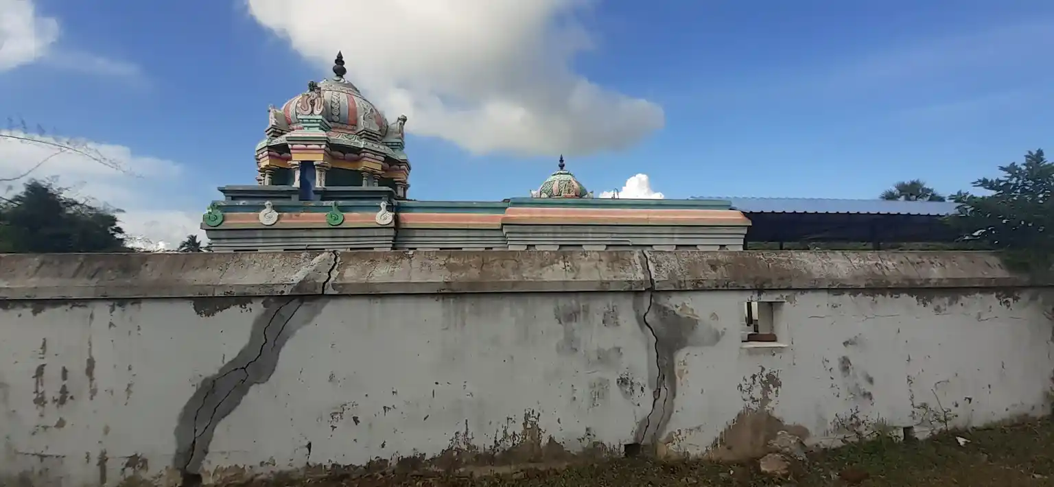 Arulmigu Naganathaswamy Temple, Ilupur - 610205 அருள்மிகு நாகநாத திருக்கோயில், இலுப்பூர் - 610205, Thiruvarur - Ancient Temple Architecture and History Image 2