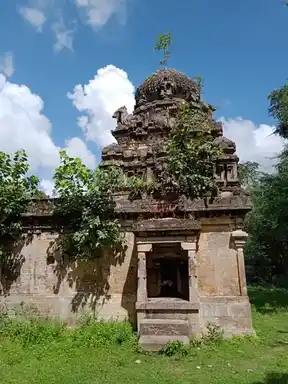 Arulmigu Naganathaswamy Temple, Naduva Kalappal - 614710 அருள்மிகு நாகநாதசுவாமி திருக்கோயில், Naduva Kalappal - 614710, Thiruvarur - Ancient Temple Architecture and History Image 2