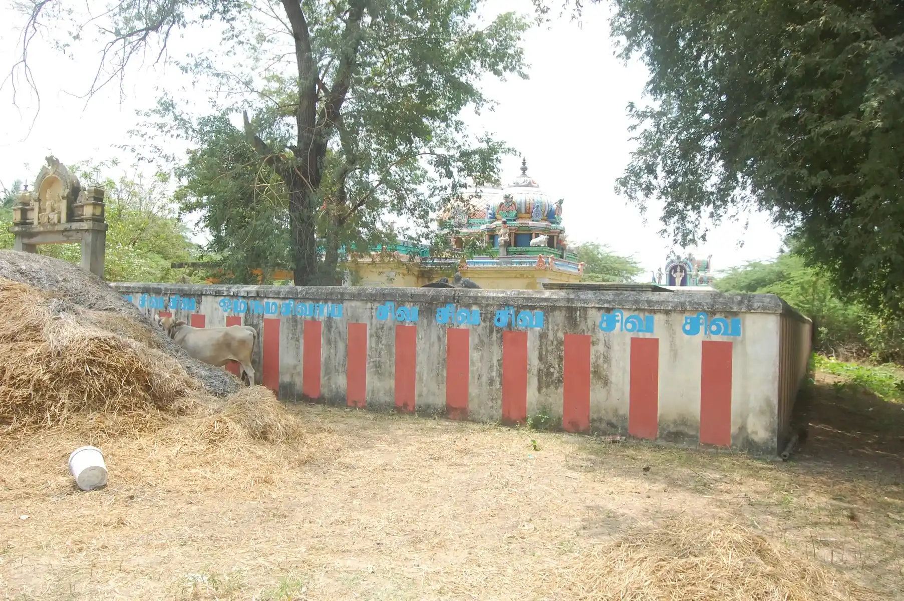 Arulmigu Naganathaswamy Temple, Nagaloor - 610207 Arulmigu Naganathaswamy Temple, Nagaloor - 610207, Nagapattinam - Ancient Temple Architecture and History Image 4