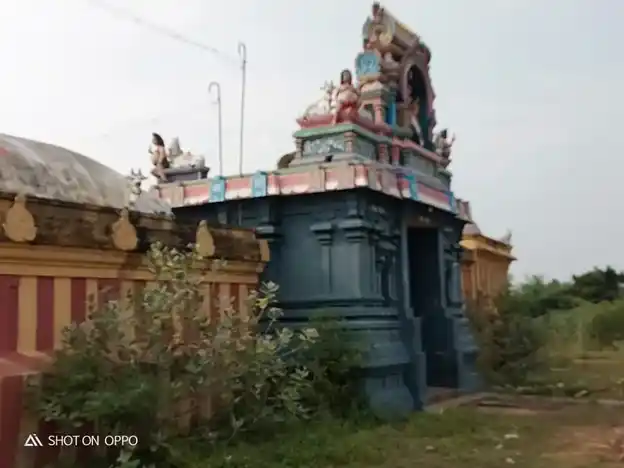 Arulmigu Naganathaswamy Temple, Nagampadi, Nagampadi - 609805