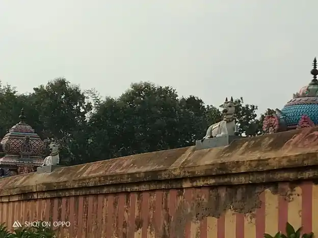 Arulmigu Naganathaswamy Temple, Nagampadi, Nagampadi - 609805 அருள்மிகு நாகநாதசுவாமி திருக்கோயில், நாகம்பாடி - 609805, Mayiladuthurai - Ancient Temple Architecture and History Image 3