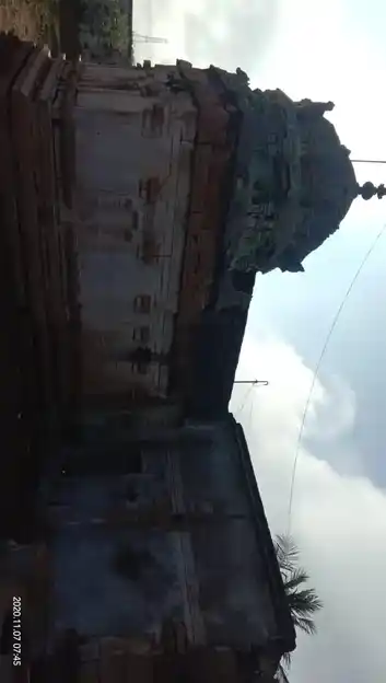 Arulmigu Naganathaswamy Temple, Palakurichi - 621308 Arulmigu Naganathaswamy Temple, Palakurichi - 621308, Thiruchirappalli - Ancient Temple Architecture and History Image 3